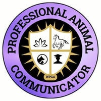 Professional Animal Communicator