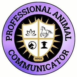 Professional Animal Communicator