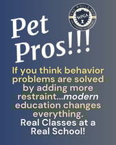 Creating Great Grooming Dogs Podcast